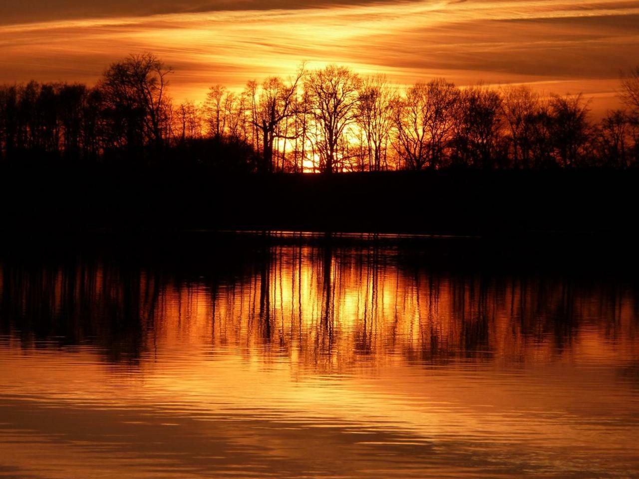 Ferienwohnung Am Duemmer See Dummer Экстерьер фото