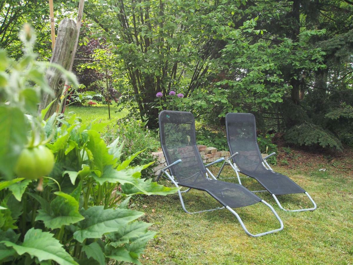 Ferienwohnung Am Duemmer See Dummer Экстерьер фото