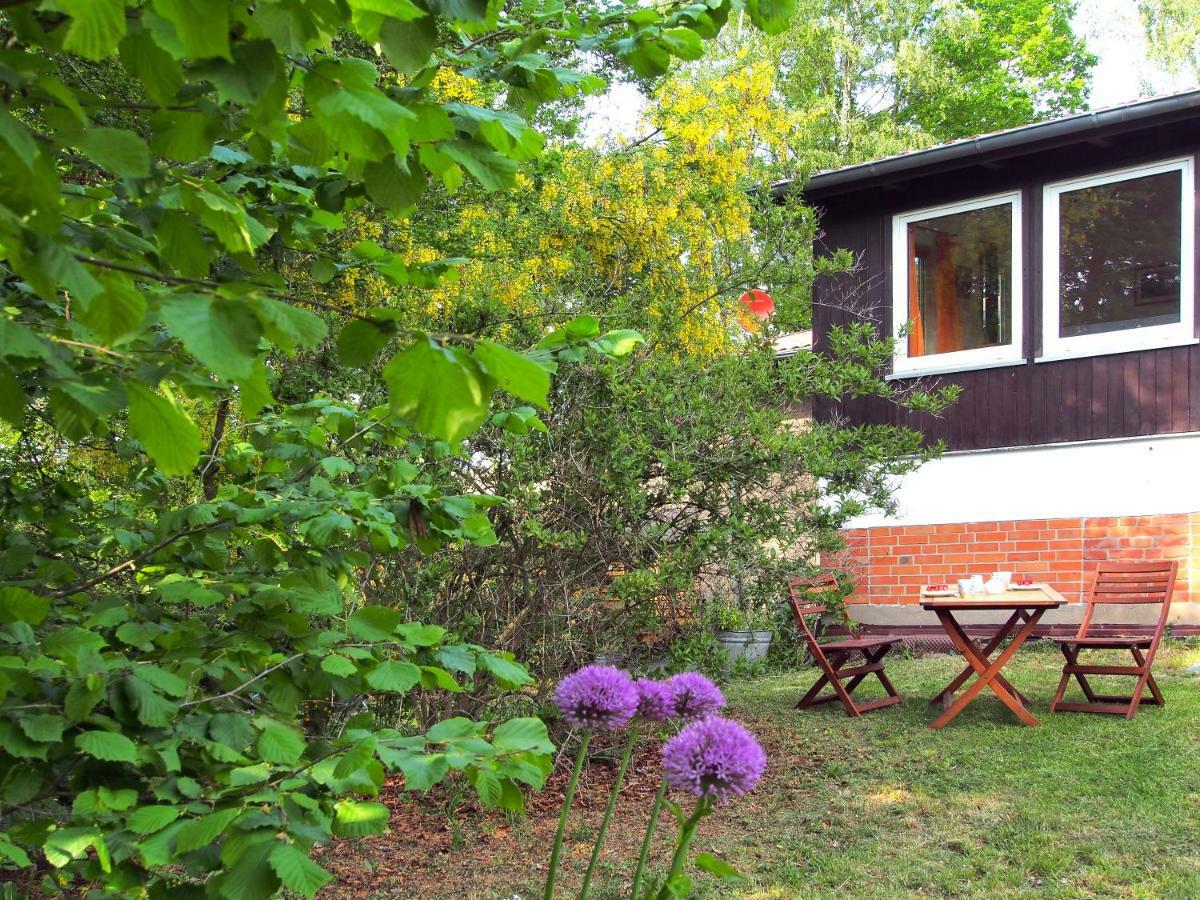 Ferienwohnung Am Duemmer See Dummer Экстерьер фото