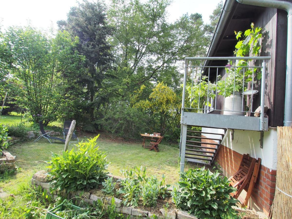 Ferienwohnung Am Duemmer See Dummer Экстерьер фото