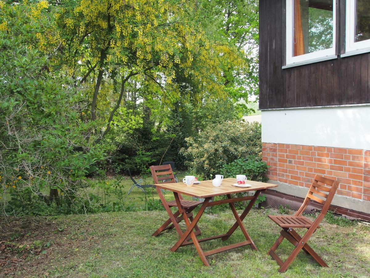 Ferienwohnung Am Duemmer See Dummer Экстерьер фото